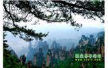 【純玩獨立成團線路1】張家界、袁家界、天子山、寶峰湖/黃龍洞二晚三日