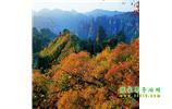 長(zhǎng)沙往返張家界、天子山、寶峰湖/黃龍洞三日游