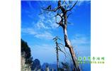 湘西之旅：張家界、天子山、寶峰湖/黃龍洞、鳳凰古城、猛洞河漂流、天門山六日游