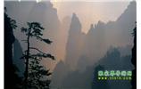 張家界國(guó)家森林公園、寶峰湖/黃龍洞、鳳凰古城、三峽八日游