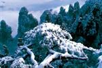 【純玩拼團線路18】下午班：鳳凰古城、張家界、天子山三晚四日游