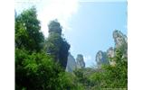 【純玩拼團(tuán)線路 張家界出發(fā)A2線】張家界、袁家界、天子山、金鞭溪、鳳凰古城2晚3日游